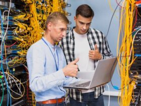 netweb technologies share price
